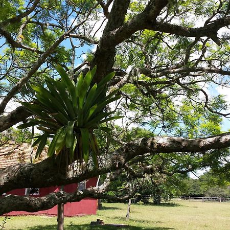 Tavares Aldeia Santuario Das Aves الغرفة الصورة