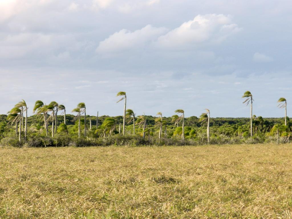 Tavares Aldeia Santuario Das Aves المظهر الخارجي الصورة